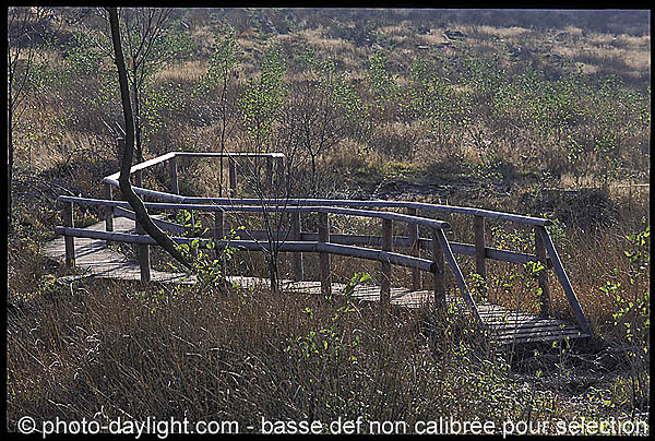 les Hautes Fagnes